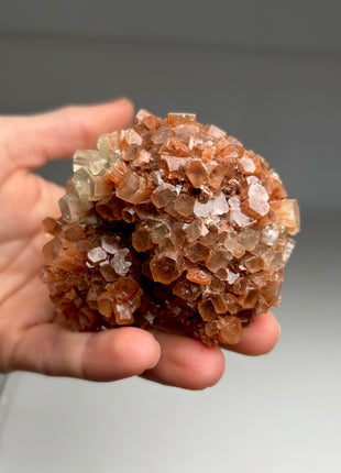 4 Piece Lot ! Aragonite Disco Ball Specimens