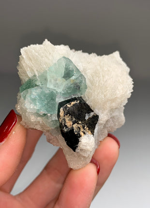 New ! Glassy Black Tourmaline with Snow Albite Flowers and Green Fluorite