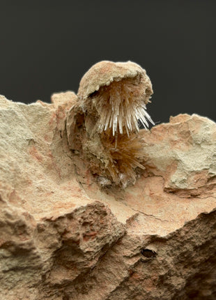 Bursting Sun Aragonite in Cluster - From Pantoja, Spain Special Price 💥