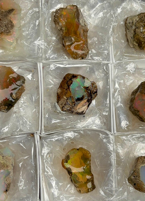 9 pieces !  High Grade We’lo Opal Lot  - From Ethiopia