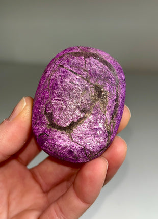 Velvet Purpurite