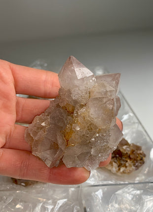 Cactus Quartz Smoky Amethyst Clusters Lot From South African Republic - 9 Pieces !