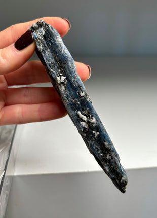 XL Size Blue Kyanite with Mica - From Zambia - 6 Pieces