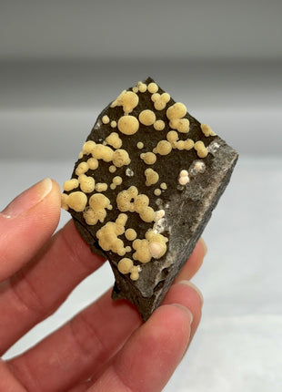 Botryoidal Calcite from Montalto di Castro, Italy