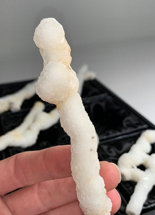 New ! White Coral Chalcedony Stalactite Lot - 6 pieces !