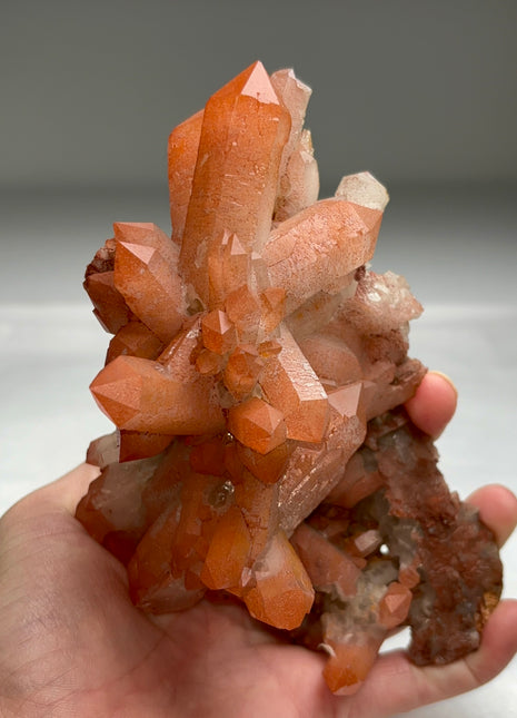 New arrival ! Red Passion Quartz