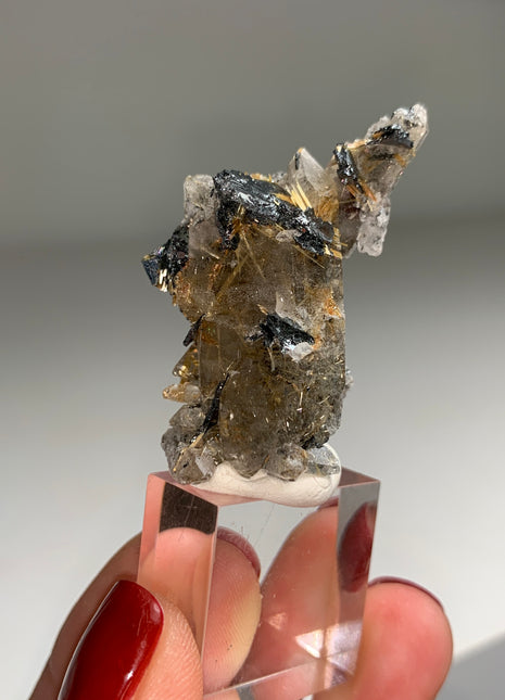 New Arrival !  Rutile Quartz with Shiny Hematite - From Brazil