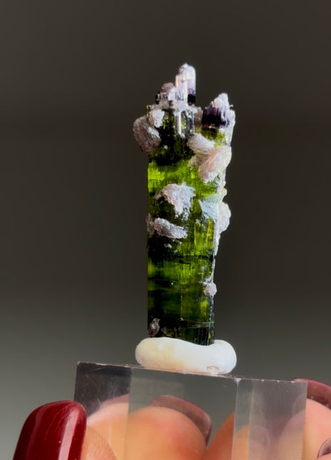 New ! Green Tourmaline with Lepidolite