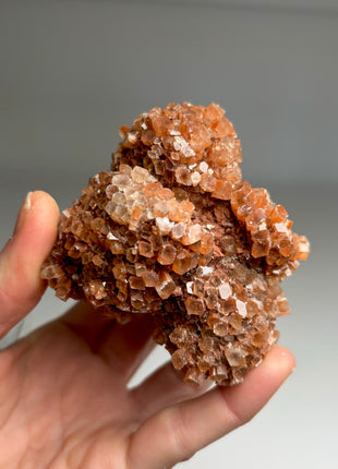 4 Piece Lot ! Aragonite Disco Ball Specimens