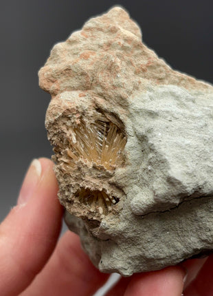 Bursting Sun Aragonite in Cluster - From Pantoja, Spain