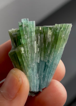 Blue Green Tourmaline Bunch PM1339