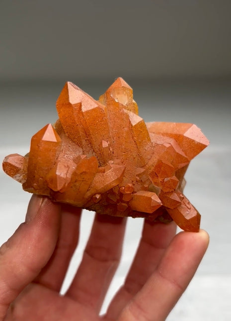 New arrival ! Red Passion Quartz