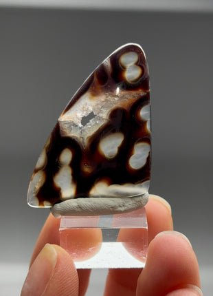 New Arrival ! Orbicular Agate