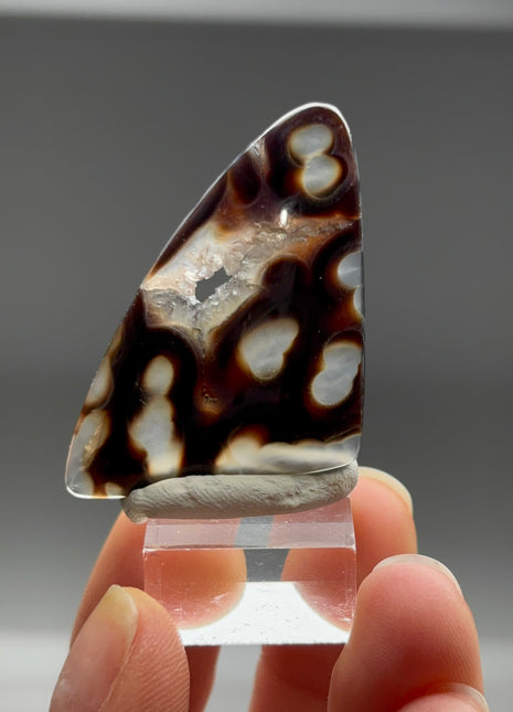 New Arrival ! Orbicular Agate