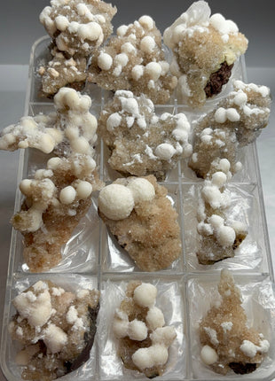 New find !  Okenite with Stilbite, 12 Piece Lot