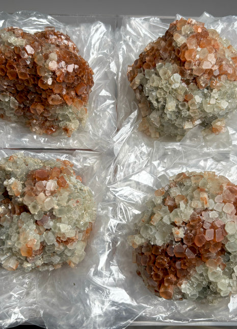 4 Piece Lot ! Aragonite Disco Ball Specimens