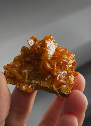 Lustrous Deep Orange Wulfenite Collection # 850