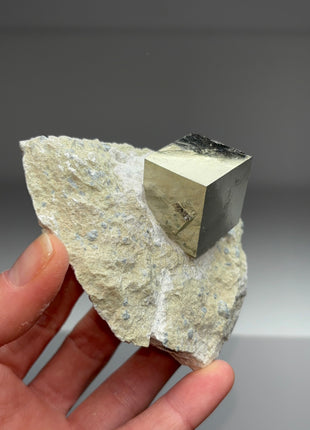 New ! Cubic Pyrite on Matrix from Navajun, Spain