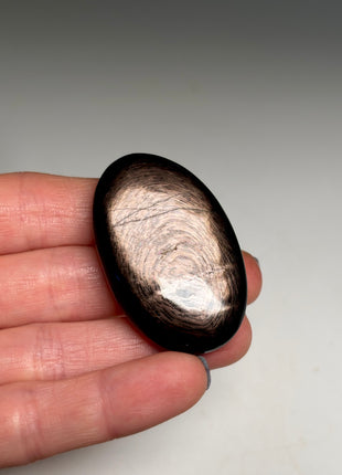 6 Piece Lot ! Velvety Hypersthene