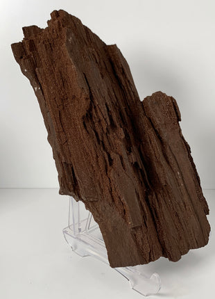 Stunning and Rare Permineralized Fossil Wood with Quartz From Germany - 5+ kgs ! *