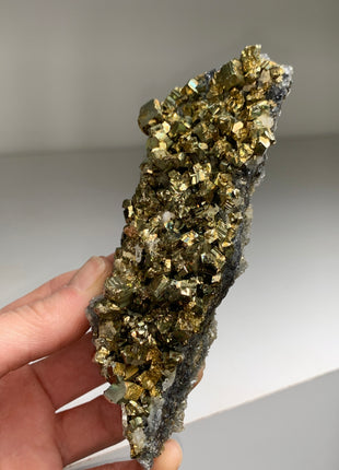 Very Lustrous Pyrite - Borieva mine, Rhodope Mtns