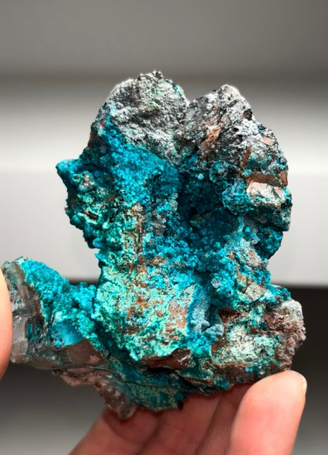 Rich Blue Chrysocolla