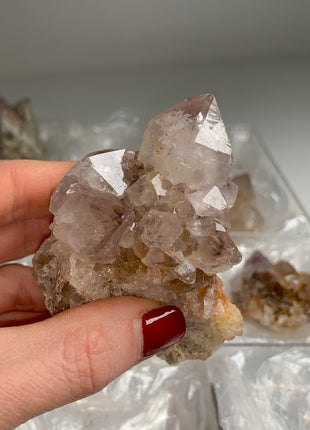 Cactus Quartz Smoky Amethyst Clusters Lot From South African Republic - 9 Pieces !