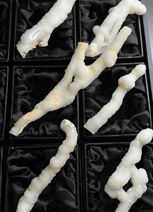 New ! White Coral Chalcedony Stalactite Lot - 6 pieces !