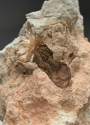 New ! Bursting Sun Aragonite Ball in Cluster - From Pantoja, Spain