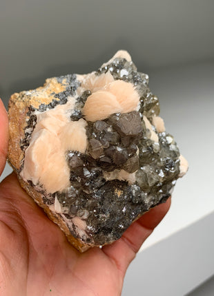 Pink Barite Flowers with Cerussite