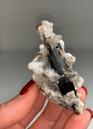 New ! Glassy Black Tourmaline with Snow Albite Flowers and Topaz