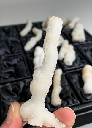New ! White Coral Chalcedony Stalactite Lot - 12 pieces !