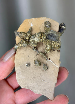 Wild ! Pyrite on Rock Matrix Specimen