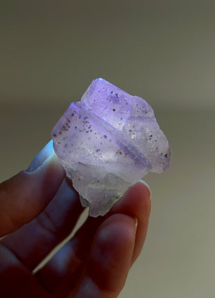 New Arrival ! Galaxy Fluorite