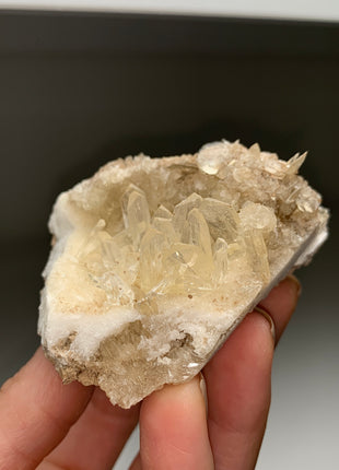 Gemmy Selenite from Zaragoza Spain