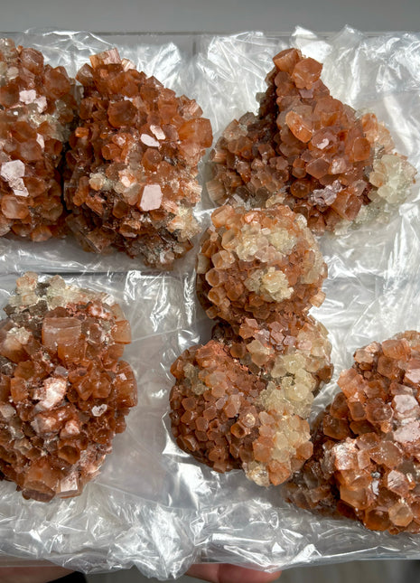4 Piece Lot ! Aragonite Disco Ball Specimens