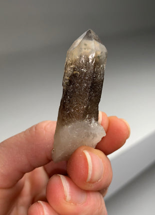 Smoky Scepter Quartz Lot - Hallelujah Junction, Nevada - 6 Pieces !