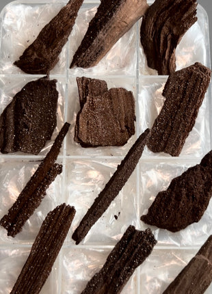 12 Piece Lot ! Rare Permineralized Fossil Wood with Quartz - From Germany