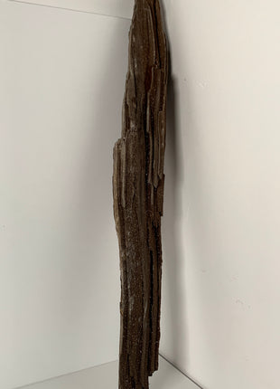 Stunning and Rare Permineralized Fossil Wood with Quartz From Germany - 26” (67 cm) *
