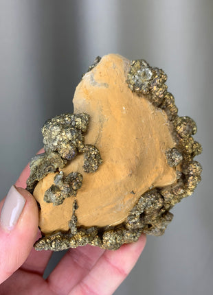 Wild ! Pyrite on Rock Matrix Specimen