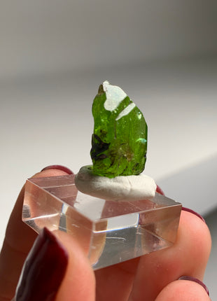 Green Diopside - Merelani Hills, Tanzania