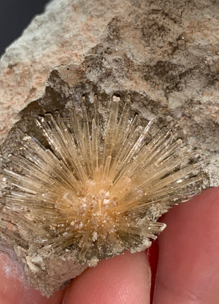New ! Bursting Sun Aragonite Ball in Cluster - From Pantoja, Spain