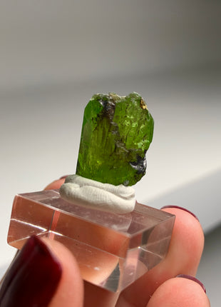 Green Diopside - Merelani Hills, Tanzania