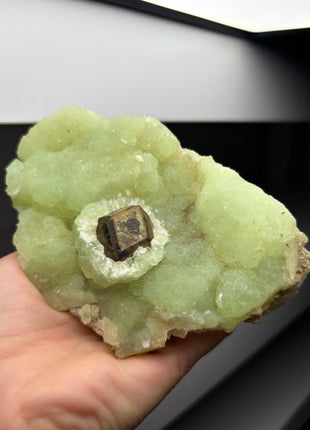 Andradite Garnet perching through Green Prehnite  Collection  # 286