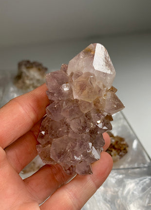 Cactus Quartz Smoky Amethyst Clusters Lot From South African Republic - 9 Pieces !