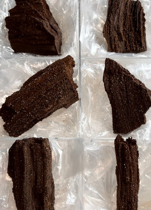 6 Piece Lot ! Rare Permineralized Fossil Wood with Quartz - From Germany