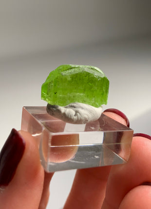 Green Diopside - Merelani Hills, Tanzania