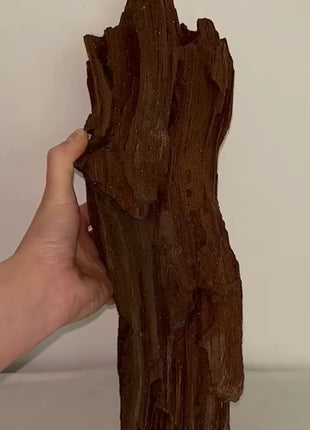 Stunning and Rare Permineralized Fossil Wood with Quartz - From Germany