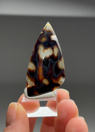 New Arrival ! Orbicular Agate