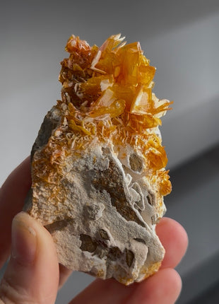 Lustrous Deep Orange Wulfenite Collection # 849